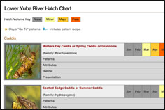 Lower Yuba River Hatch Chart